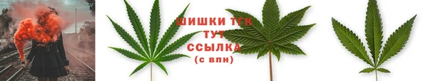 молекула духа Покачи
