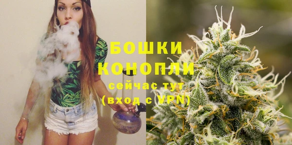 молекула духа Покачи
