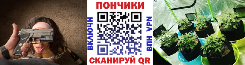 Шишки марихуана конопля  купить   гидра маркетплейс  Шахунья 